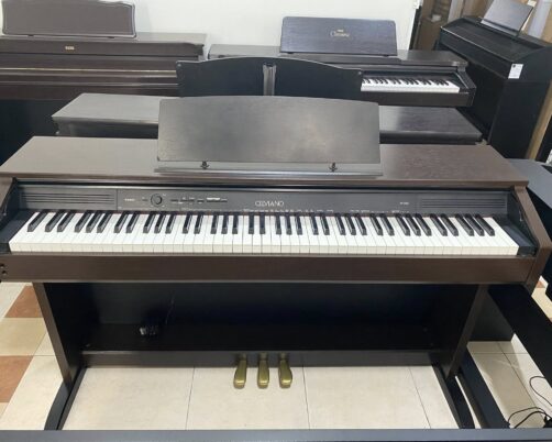 CASIO AP 250